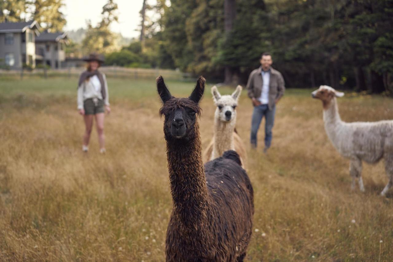 Scp Mendocino Inn And Farm Little River エクステリア 写真